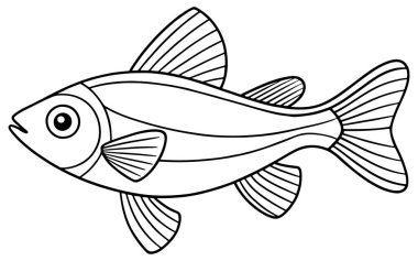 Zebrafish, çocukların eğitim kitapları ve su boyama sayfası içeriği için idealdir.