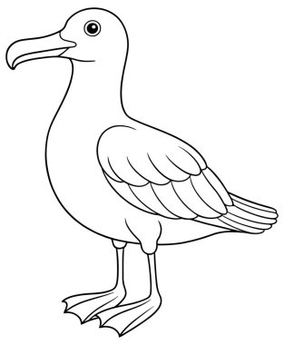 Siyah ve beyaz albatros, perdeli ayaklı ve uzun gagalı deniz kuşunun renklendirme faaliyetleri için mükemmel bir tasviri.