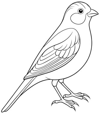 Yaratıcı renklendirme sayfaları ve eğitici kuş projeleri için siyah beyaz kanarya çizgisi çizimi