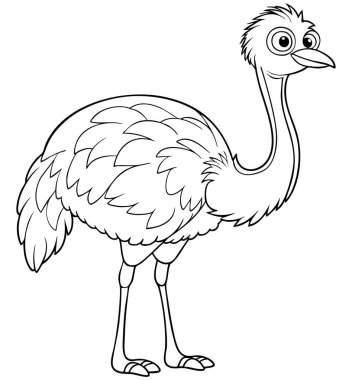 Çocuk boyama sayfaları ve Avustralya kuş öğrenme projeleri için siyah-beyaz çizgi çizimi