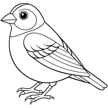 Küçük gagası ve ayrıntılı kanatları olan siyah beyaz ispinoz kuşu çizgisi resim çizimi renk kaynakları için mükemmeldir.