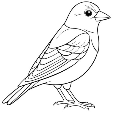 Renklendirme sayfaları ve basit temiz çizgi tarzını içeren eğitim projeleri için ayrıntılı altın ispinozu ana hatları çizimi çizimi