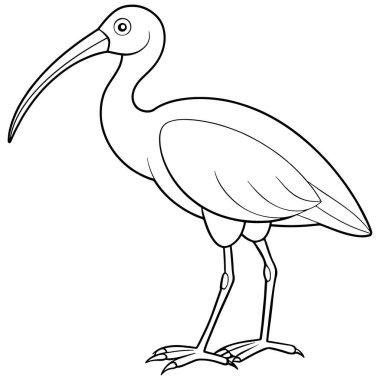 Eğitici ve renklendirme faaliyetleri için tasarlanmış uzun kavisli gagalı ve ayrıntılı ayaklı çizgi sanat aynası resimlemesi