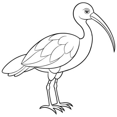 Profil görünümünde, çocukların renklendirme ve öğrenme amaçları için mükemmel tüy detaylarıyla basit Ibis özeti çizimi