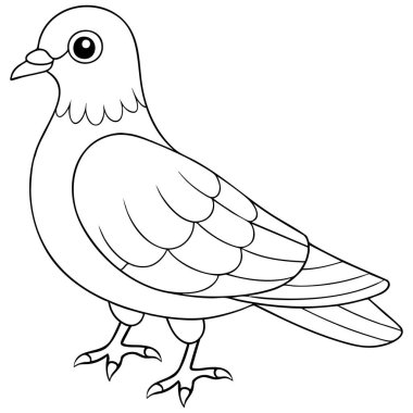 Çizgi roman güvercin çizgisi çizimi siyah-beyaz renkli sayfalar ve basit kuş çizimleri için tasarlanmıştır.