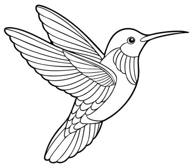 Havada süzülen bir sinekkuşunun güzel çizilmiş sanat resmi. Kanatlarının ve gagasının karmaşık ayrıntıları açıkça görülüyor. Bu minik kuşun zarafetini gösteriyor..