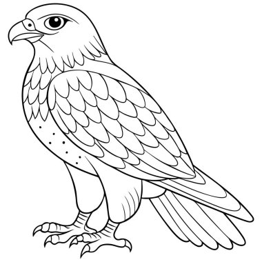 Çarpıcı bir siyah beyaz çizgi güçlü bir şahini yakalıyor. Her tüy titizlikle detaylandırılmıştır. Yırtıcı kuşun keskin özelliklerini ve egemen varlığını vurgular..