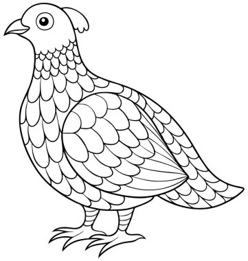 Bu büyüleyici çizim ayrıntılı bir orman tavuğu içeriyor, boyamak için mükemmel. Basitleştirilmiş ancak doğru tasviri, kuşlarla ve doğayla ilgilenen her yaştan sanatçılar için ilgi çekici bir konu haline getiriyor..