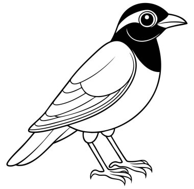 Bu büyüleyici siyah ve beyaz çizgi ince bacakları üzerinde duran stilize edilmiş bir Myna kuşunu gösteriyor, kafası yana dönük, belirgin işaretlerini gösteriyor..