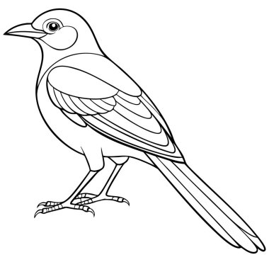 Gıcır gıcır, siyah ve beyaz bir çizgi, tüylü, karmaşık detaylara sahip bir saksağan sergiliyor. Kuş kuyruğunu uzatarak duruyor, eşsiz şekli ve yapısının net bir tasviri..