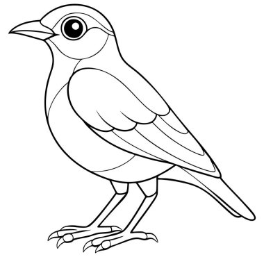 Temiz bir çizgi, profildeki küçük bir kuşu yakalar. Robot resimde kuşun şekli ve tüyleri açık ve basit çizgiler ile renklendirme veya eğitim amaçlı olarak çizilmiş..