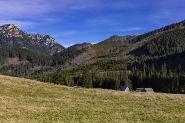 Tatra Dağları 'nın panoramik manzarası. Zakopane yakınlarındaki Tatras 'taki Khokholovska Vadisi.