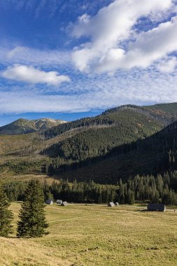 Tatra Dağları 'nın panoramik manzarası. Zakopane yakınlarındaki Tatras 'taki Khokholovska Vadisi.