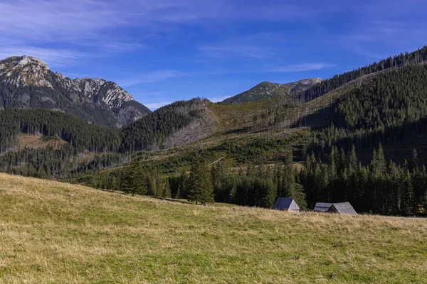 Panoramiczny Widok Tatry Dolina Khokholovska Tatrach Koło Zakopanego — Zdjęcie stockowe