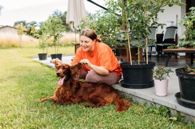 Yazın evin bahçesinde köpeğiyle oynayan neşeli, mutlu genç bir kadın. Güzel İrlandalı yerleşimci köpek çimenlerde yatıyor.