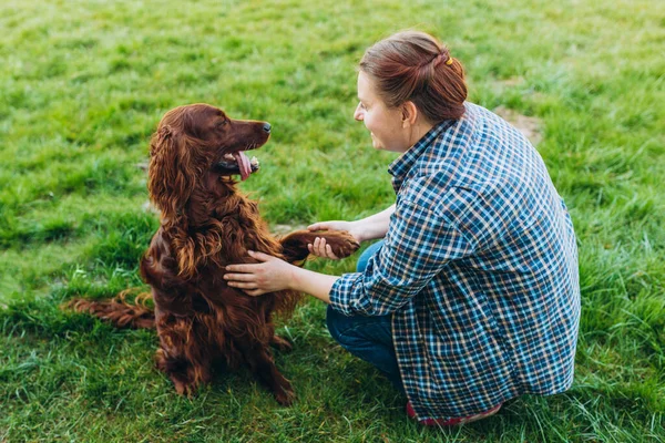 快乐快乐的年轻女人和她的狗在院子里玩耍 漂亮的爱尔兰猎狗正坐在草地上 动物概念 — 图库照片