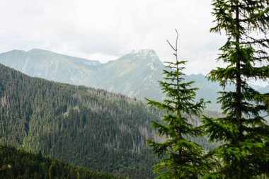 Yaz, Polonya Tatra Dağları'nın görünümü