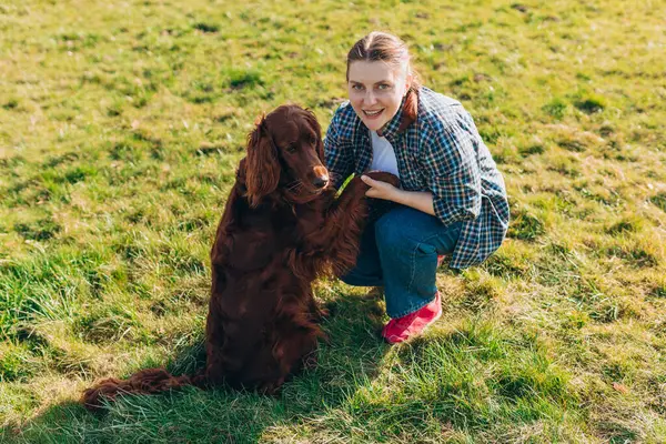 Human and a dog. Woman and her friend dog on the straw field background. Beautiful Irish Setter dog is sitting in grass.