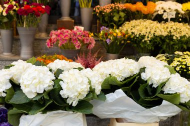 Çiçekçinin raflarında çiçek açan güzel çiçekler.