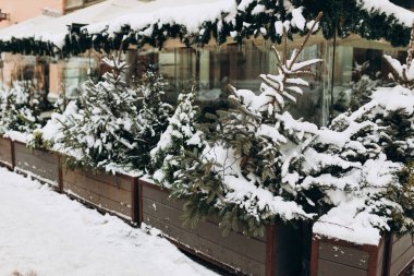 Noel süsleri ve düşen kar