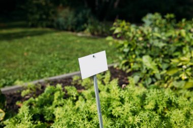 Yeşil çimen arka planında yakın plan beyaz metal levhası, metin için bir boşluk olan isim plakası. Yatay pankart. Boş Fabrika Etiketi, Model