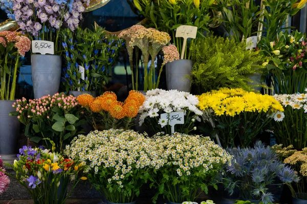 Different flowers in the store on the shelves of the flower shop.