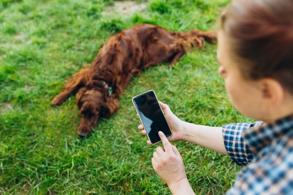 Vet telemedicine concept, pet owner calling video with veterinarian. Woman sitting with the dog in the park and using phone