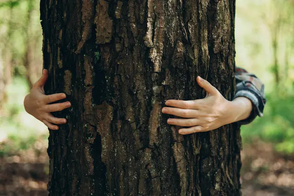 Human hands touches a tree trunk. Bark wood. Wild forest travel. Earth Day. Traveler girl in a beautiful green forest. Conservation, ecology, environment