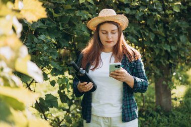 30 'ların kadın şapkalı, üzüm bağında kırmızı şarap tadıyor. Güneşli bir günde elinde akıllı telefon ve bir şişe şarap tutan güzel genç bir kadının portresi. Doğal şarap endüstrisi