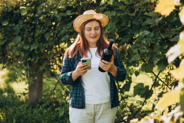 30 'ların kadın şapkalı, üzüm bağında kırmızı şarap tadıyor. Güneşli bir günde elinde akıllı telefon ve bir şişe şarap tutan güzel genç bir kadının portresi. Doğal şarap endüstrisi