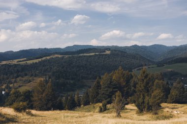 Dağ vadisinde koyun sürüsü. Uzakta zirveleri olan dağ sırtı, seyahat kavramı