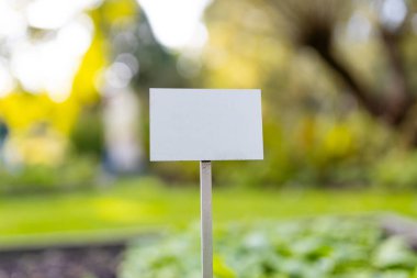 Konsept mesajı için beyaz etiket boş. Yaz başında şehir sebze bahçesinde. Yükseltilmiş yatakta sebze yetiştirme