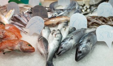 Colorful choice of fish at a market in Spain. Closeup of fish on display in a fish market clipart