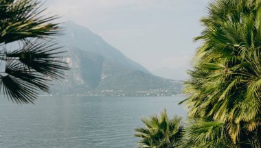 Güneşli bir günde, palmiye yapraklarına, denize ve dağlara yakın. Doğa arkaplanı.