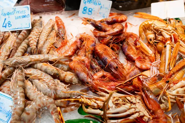 Taze organik kaplan karidesleri ya da buz üstünde karidesler.