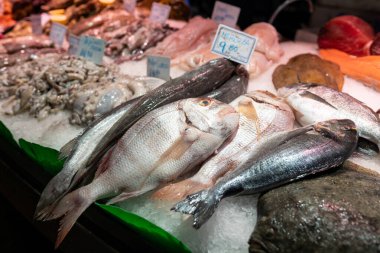 İspanya 'da bir markette renkli balık seçimi. Balık pazarında sergilenen balıkların yakın çekimi, gıda konsepti