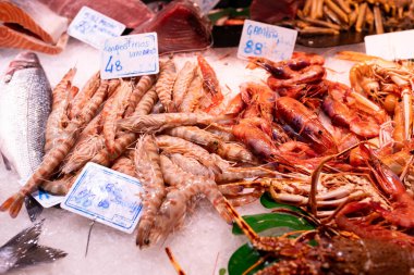 Lezzetli taze organik kaplan karidesi ya da buzlu karides.