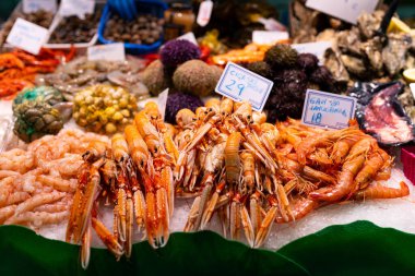 Balık pazarında taze langoustines ve diğer deniz ürünleri