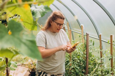 Genç ve çekici bir kadın akıllı telefon kullanarak çocuk odasında çalışıyor. Serada cep telefonu olan mutlu genç bir kadın.