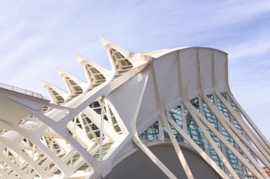Cephede cam ve yenilikçi malzemelerin bir kombinasyonu yer alıyor. Sanat ve Bilim Şehri, Valencia.