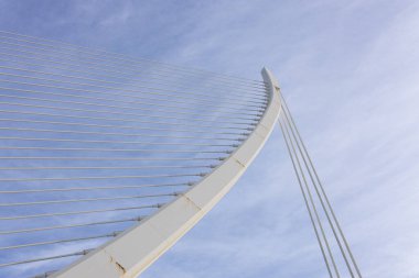 Sanat ve Bilim Şehri 'nin güzel mimarisine giden sanatsal bir yol.