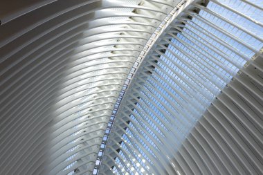 Soyut çatı inşaatına yakın çekim. Sanat ve Bilim Şehri, Valencia. İspanyol modern mimarisi, gelecekçi yapı