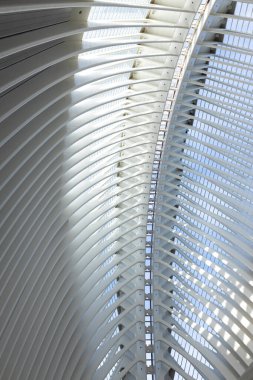 Soyut çatı inşaatına yakın çekim. Sanat ve Bilim Şehri, Valencia. İspanyol modern mimarisi, gelecekçi yapı