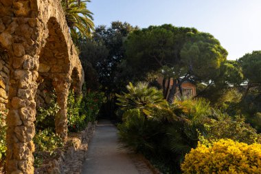 Antonio Gaudi 'nin Park Guell, Barcelona' daki ağaç gövdesine benzeyen taş sütunlar.