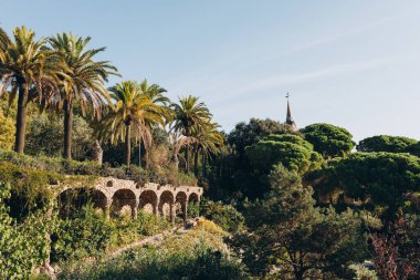 Antonio Gaudi 'nin Park Guell, Barcelona' daki ağaç gövdesine benzeyen taş sütunlar.