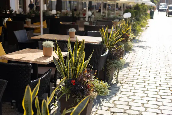 Masaları ve sandalyeleri olan boş bir restoran yaz terası. Restoran masaları açık terasta müşterileri bekliyor.