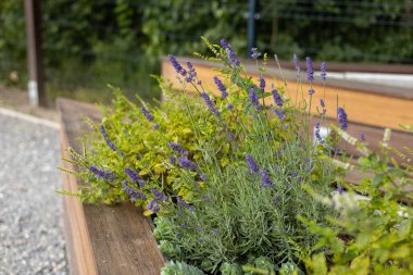 Halk parkında Halk Bahçesinde Yatağı Yükseltiyorum.