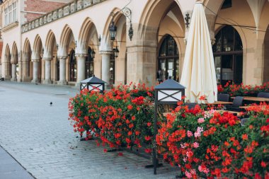Güzel kırmızı sarmaşık yapraklı sardunya çiçekleri çiçek tarhında Pelargonium peltatum. Tencerede çiçekler olan teras. Bir terası süsleyen dekoratif sokak lambaları