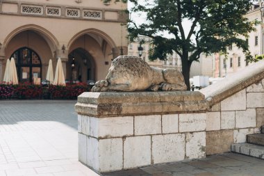 Polonya 'nın Krakow kentindeki ana pazar meydanındaki belediye binasının önündeki uyuyan aslanın taş heykeli.