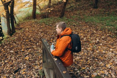 Sırt çantalı sarışın genç adam sonbahar orman yolunda tek başına yürüyüş yapıyor. Özgürlük ve aktif yaşam tarzı kavramı. Yüksek kalite fotoğraf